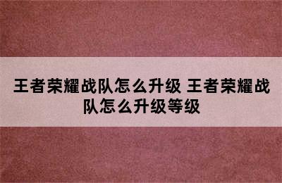 王者荣耀战队怎么升级 王者荣耀战队怎么升级等级